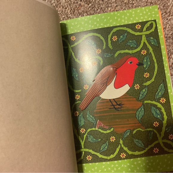 Like new - The Secret Garden - France’s Hodgson Burnett - illustrated - Picture 9 of 13